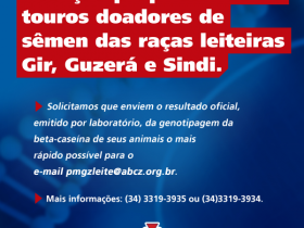 Proprietários de touros devem enviar resultado de genotipagem A2 para ABCZ