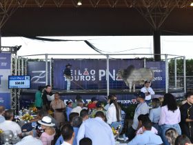 17ª ExpoGenética já tem 23 leilões e três shoppings de animais confirmados