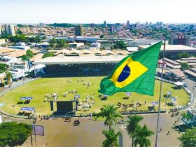 89ª ExpoZebu: Inscrições de animais começam na próxima segunda-feira (29)