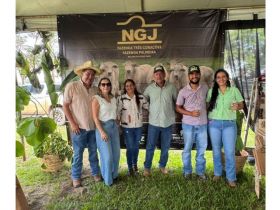Técnicos da ABCZ destacam a qualidade genética na 3ª Feira de Touros Nelore NGJ - edição Castanheira (MT)