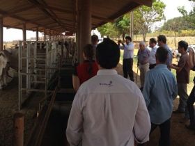 Criadores conhecem resultado de Prova de Eficiência Alimentar 