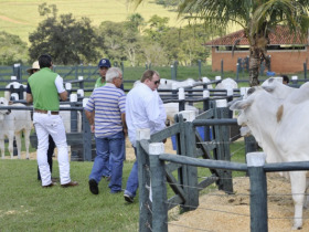 Aberta agenda de shoppings de animais da ExpoZebu 2015