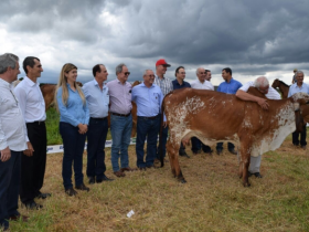 ABCZ participa de reunião técnica sobre produção de leite a pasto
