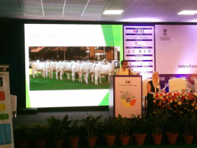 ABCZ e zebu brasileiro são referência para entidade indiana