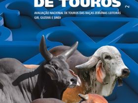 Sumário lançado na ExpoZebu já está disponível para consulta na internet