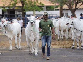 Expoinel 2017 começa nesta segunda-feira (25)