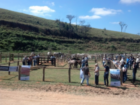 Dia de Campo no Rio de Janeiro tem palestra sobre o PMGZ