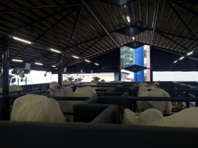 ABCZ investe em obras e projetos de melhorias    