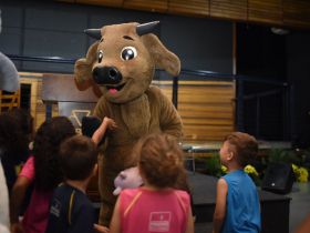 Na Trilha do Zebuzinho: Museu do Zebu planeja comemoração da Semana Nacional de Museus nesta sexta (17)