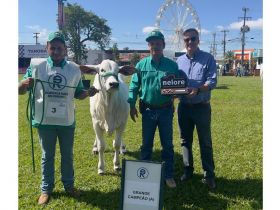 ABCZ participa da ExpoLondrina 2025
