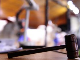 Expogenética: Leilões já movimentaram mais de R$26 milhões