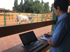 Registro Definitivo dos animais agrega valor ao rebanho