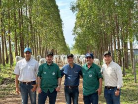 Rota do PMGZ percorre estado do Pará