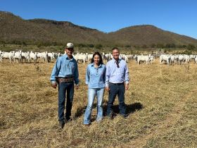 PMGZ Comercial mais forte no Mato Grosso do Sul