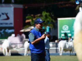 Técnico de Registro da ABCZ ministra palestra técnica para produtores mexicanos