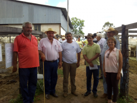 Vendas de touros seguem firmes nas feiras do Pró-Genética