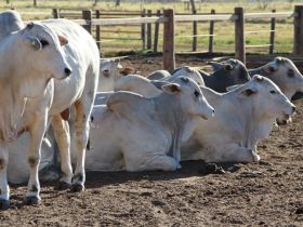ABCZ divulga valor de inscrição para o TDEA PNAT 2023