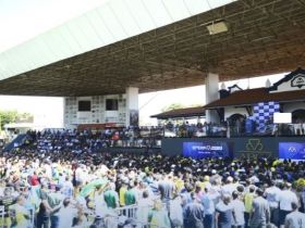 ExpoZebu 2022 movimenta mais de R$ 350 milhões