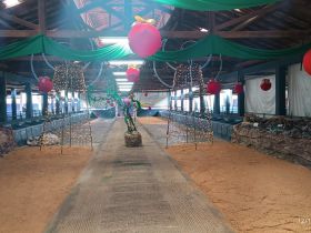 Natal no Parque recebe exposição de presépios