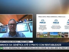 PMGZ Carne foi destaque durante o 11º Dia de Campo Virtual Fazenda Modelo