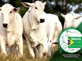 ABCZ participa da semana "Brasil Livre da Aftosa"