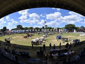 90ª ExpoZebu: número de animais inscritos já supera 2.580