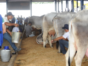 PMGZ Leite terá programação técnica após ordenhas 