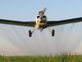 Grupo faz treinamento sobre uso correto de defensivos em Uberaba