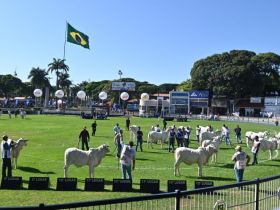 Confira a programação da 90ª ExpoZebu para esta quarta-feira (30)