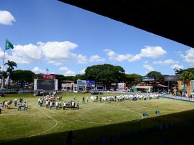 89ª ExpoZebu: entrada de animais participantes de julgamentos será liberada no dia 15 de abril