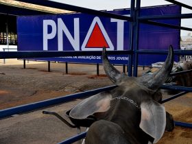 Inscrições abertas para Rebanho Colaborador do PNAT
