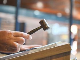 Leilões da 89ª ExpoZebu já faturaram mais de R$ 97 milhões