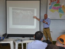 ABCZ participa de ‘Dia de Campo: Seleção Sustentável e Eficiente’, da Universidade Federal de Uberlândia (MG)