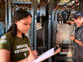 Avaliação precede o início do Teste de Desempenho e Eficiência Alimentar do PNAT 2025