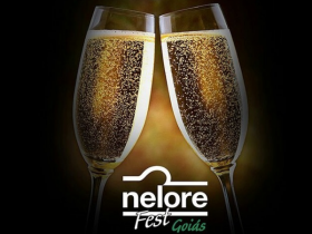 Presidente da ABCZ recebe homenagem na Nelore Fest Goiás