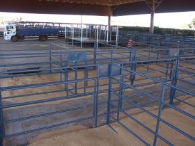 Preparativos para a ExpoGenética movimentam o Parque Fernando Costa