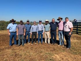 ABCZ participa da final da 3ª Prova de Eficiência e Performance Brahman Boi com Bula