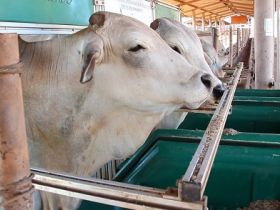 Candidatos do PNAT 2018 já estão disponíveis para consulta