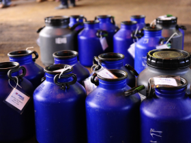 Amanhã (17) é o último dia para as inscrições no Concurso Leiteiro