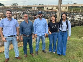 Genética de resultados: filhos de touros Nelore PO abatidos em novo programa da ABCZ ganham 2@ a mais que gado comercial no mesmo período de confinamento