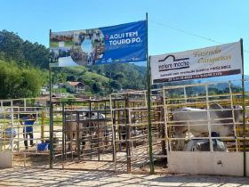 Confira a agenda de Feiras de Touros Pró-Genética de dezembro de 2022