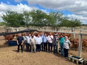 ABCZ participa de oficialização da concessão de RGD ao rebanho Sindi da Embrapa Semiárido