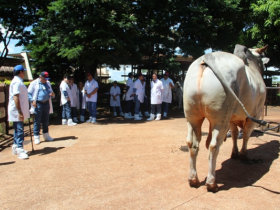 Roteiro de visitas técnicas 100% PMGZ incluiu CRV, IZ e CRI