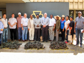 ABCZ recebe comitiva de embaixadores e ministros de países africanos