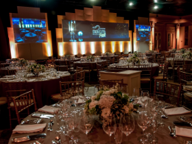 Acontece em SP a Nelore Fest 2014