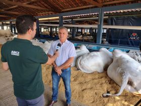 90ª ExpoZebu: 1.500 animais já estão no Parque Fernando Costa