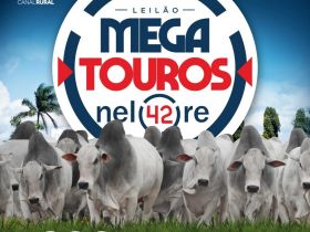 'Leilão Mega Touros Nelore 42' irá ofertar mais de 230 exemplares