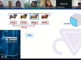 ABCZ participa de treinamento para bolsistas da Academia de Formação do Senar