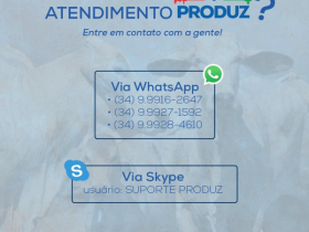 Atendimento Produz segue normalmente via WhatsApp e Skype