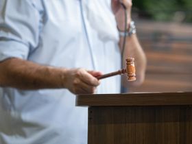 17ª ExpoGenética: 10 primeiros leilões da feira já comercializaram mais de R$ 36 milhões